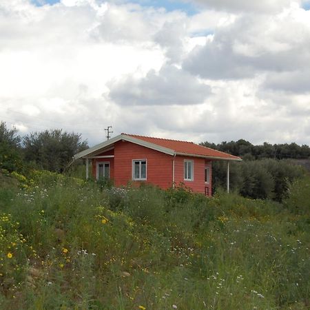 Mandorleo Apartment Белпасо Екстериор снимка