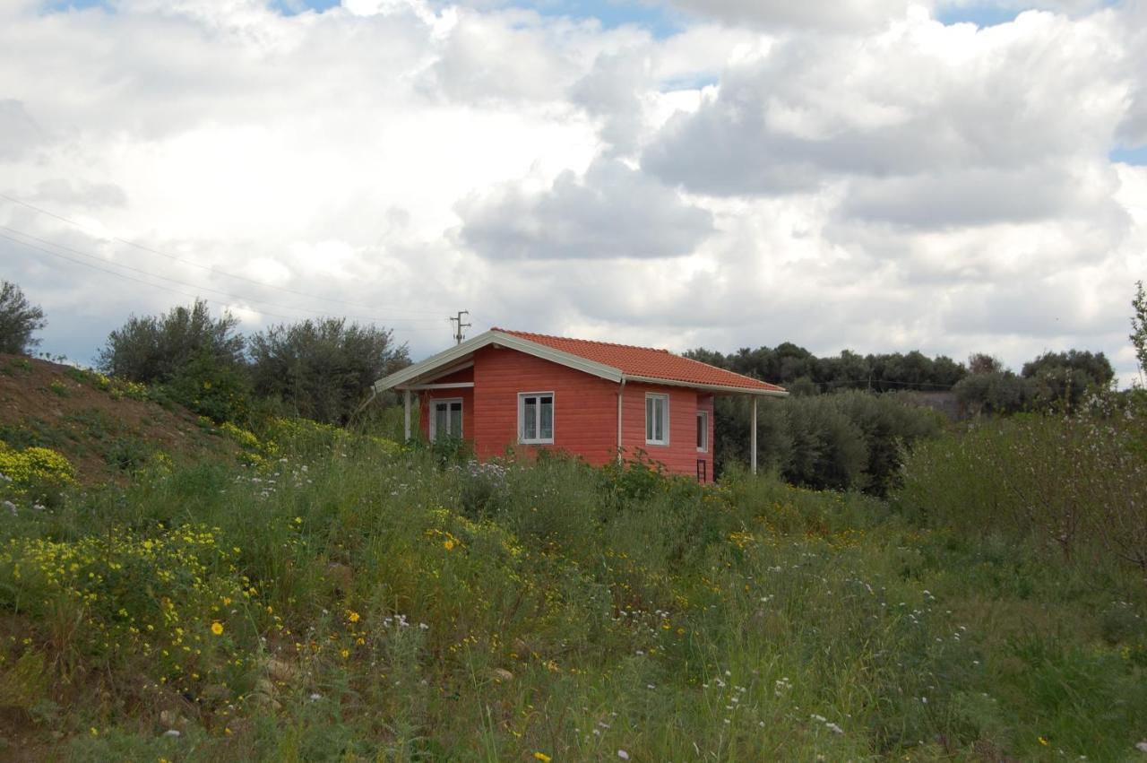 Mandorleo Apartment Белпасо Екстериор снимка